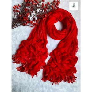 Chiffon Shawl Dupatta