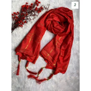 Festive Stole For Women
