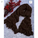 Chiffon Shawl