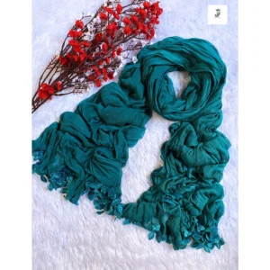 Chiffon Shawl