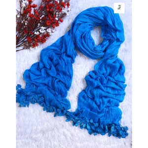 Chiffon Shawl