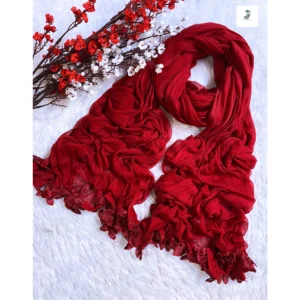 Chiffon Shawl