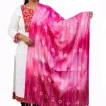 festive stole for women