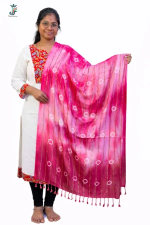 festive stole for women