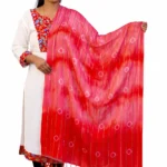 festive stole for women