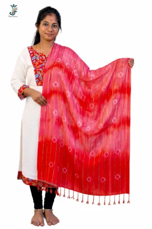 festive stole for women