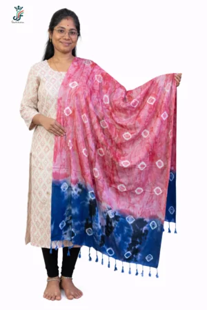 Multi color cotton stole for women