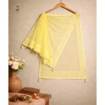 Net dupatta for women