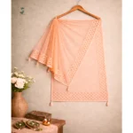Net dupatta for women